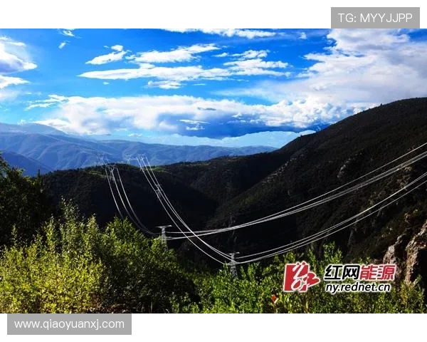 南京极限运动队的马拉松大满贯之路与成长历程全景揭秘 南京极限运动队的马拉松大满贯之路与成长历程全景揭秘