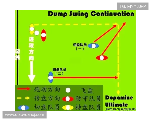 杭州飞盘队战术解析与对手策略深度对比研究